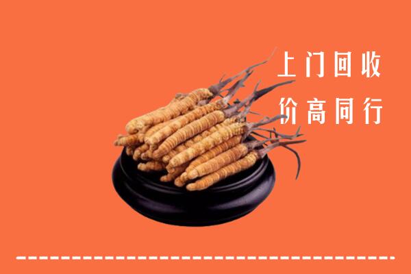 高价求购：霞山回收散虫草