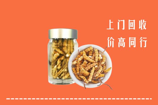霞山回收冬虫夏草