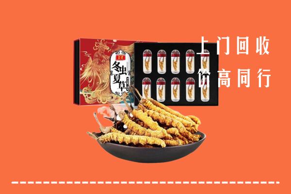 霞山回收虫草